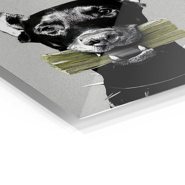 Doberman Bills
