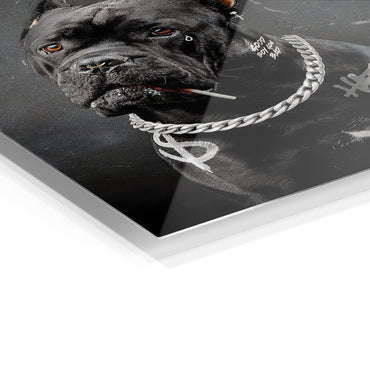 Gangster Dog