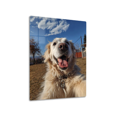 Golden Retriever Selfie 3