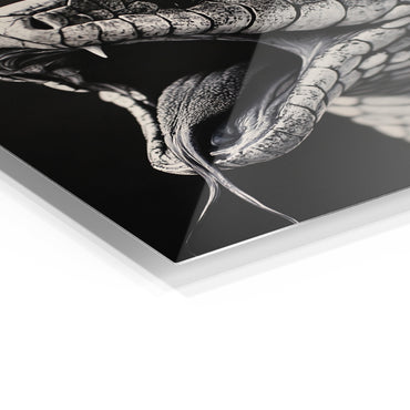 King Cobra B&W