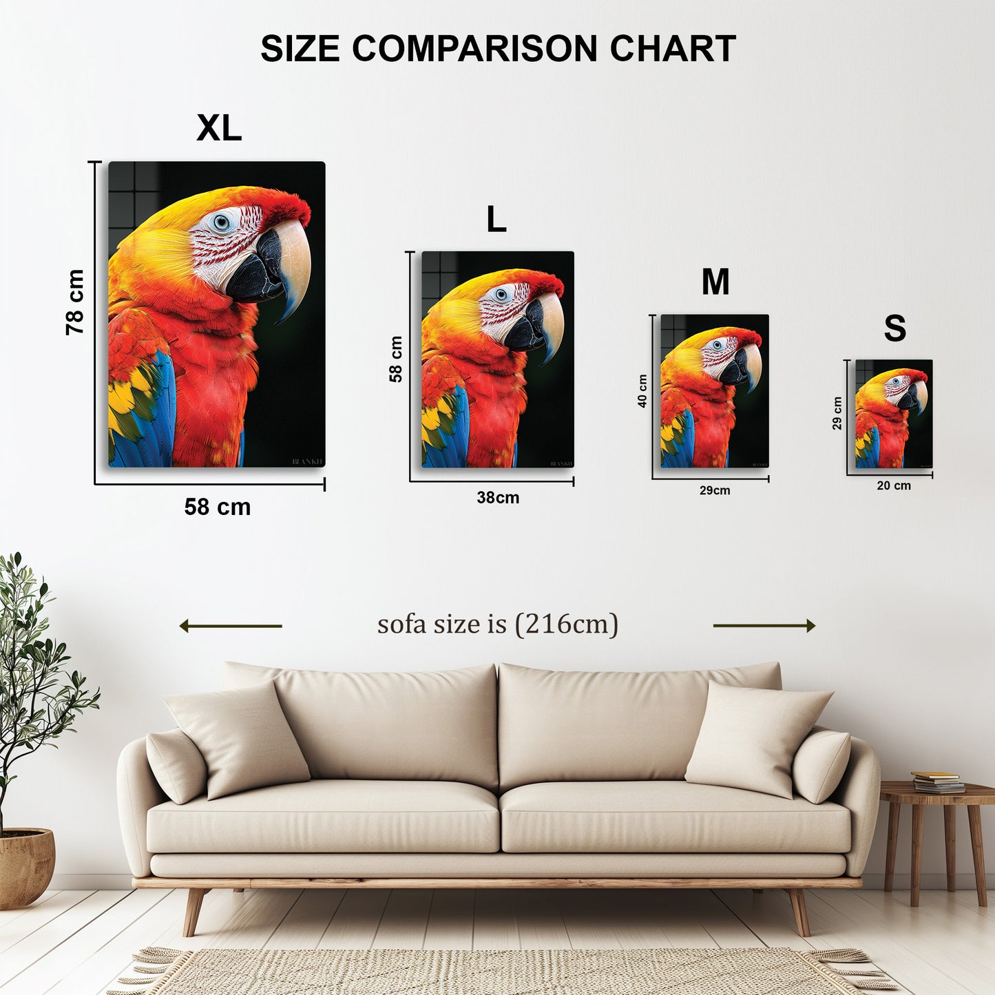 Macaw Parrot