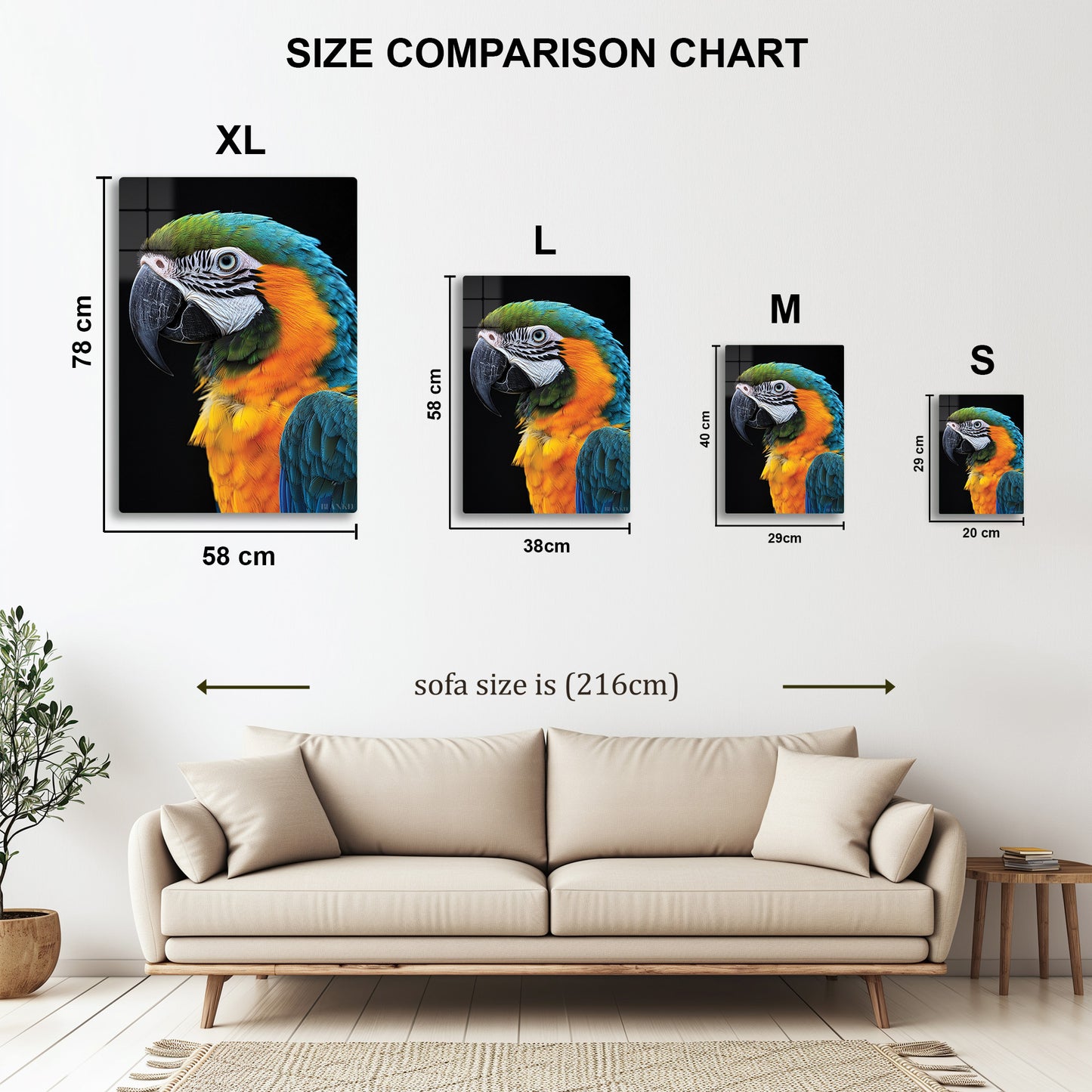Macaw Parrot 2