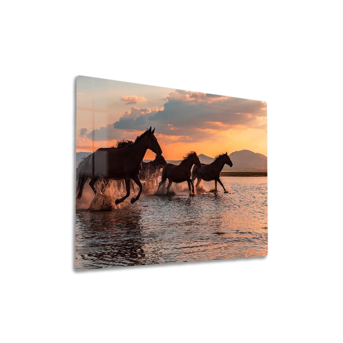 Water Horses