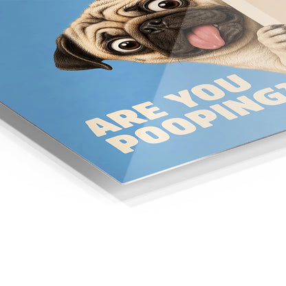 Are You Pooping Funny Pug metal poster