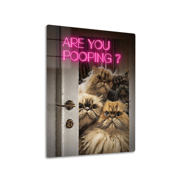 Are You Pooping