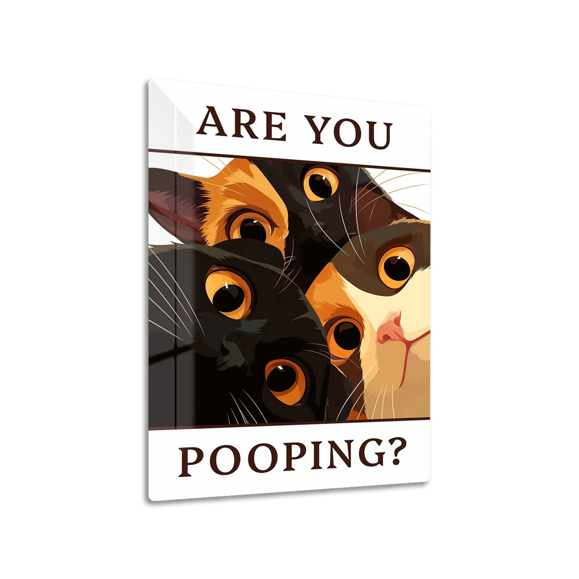 Are You Pooping Cat metal poster on living room wall