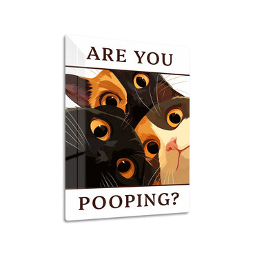 Are You Pooping Cat metal poster on living room wall