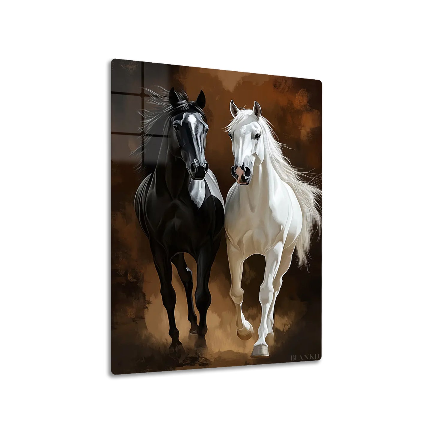 Black & White Horses