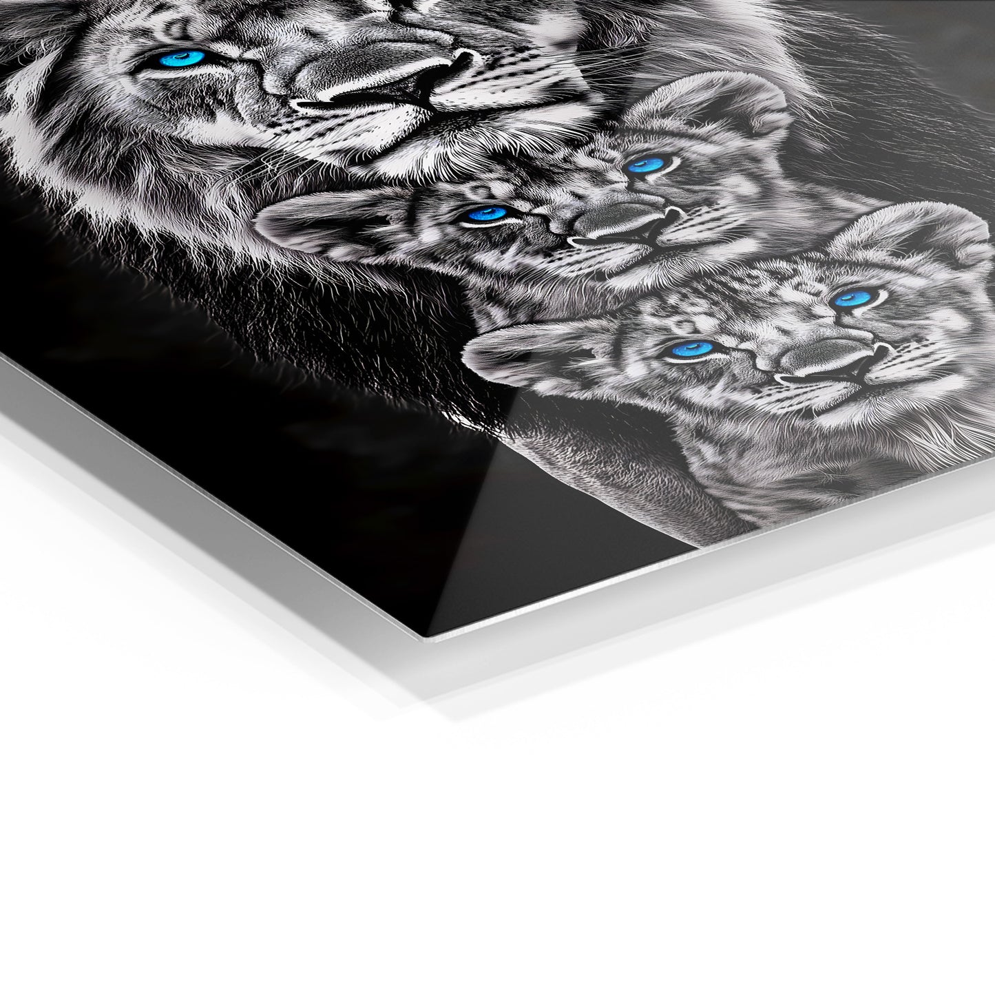 Black and White Lion