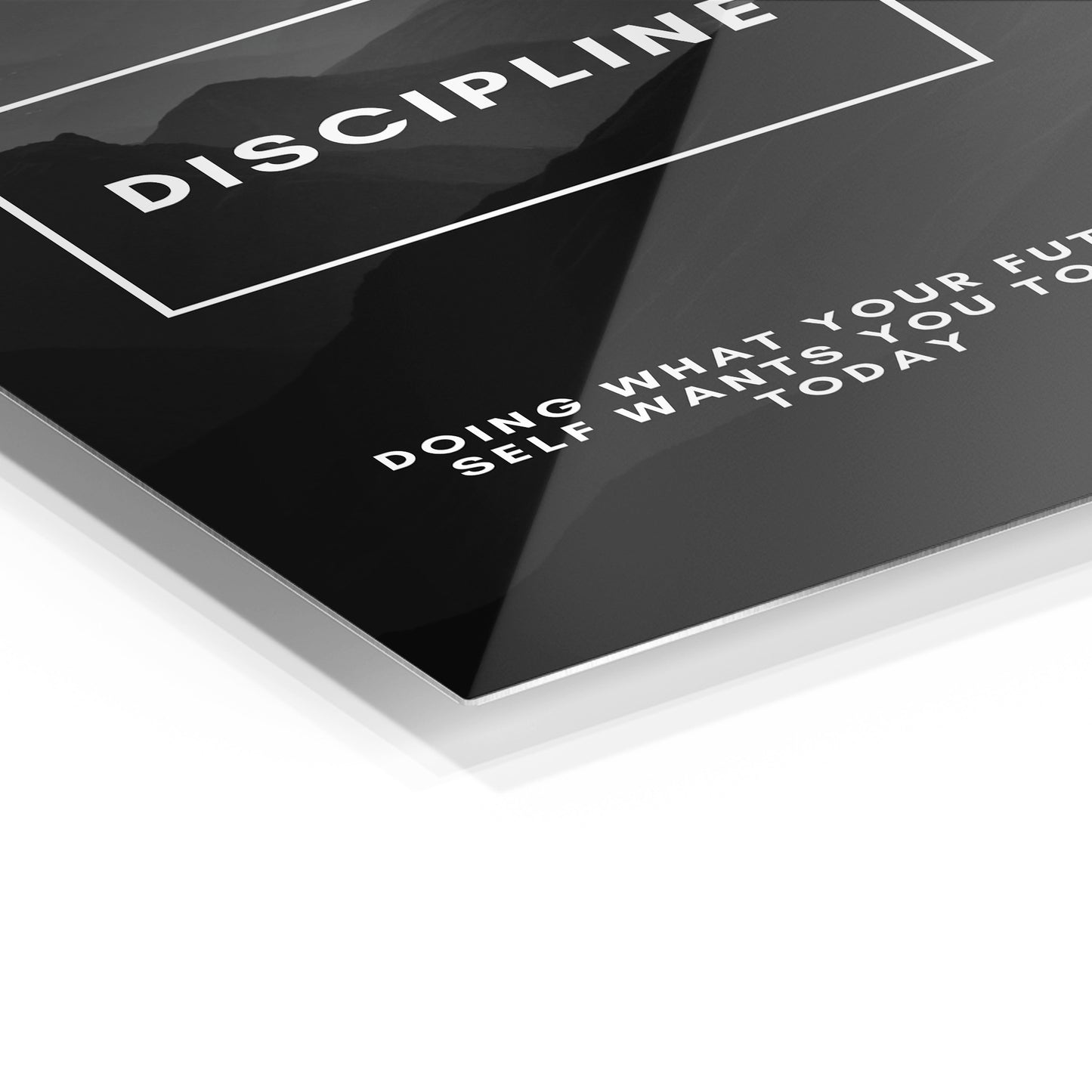 Discipline
