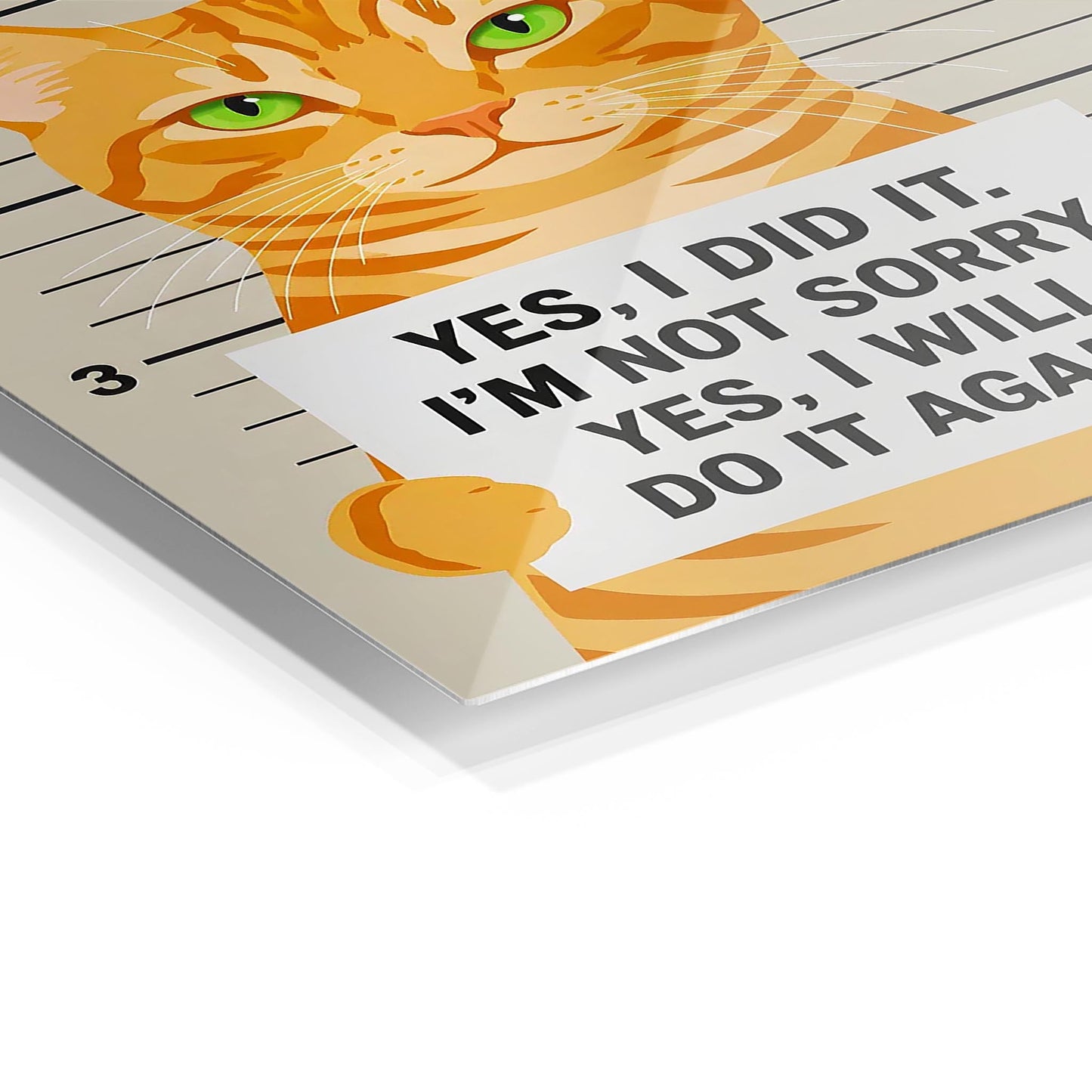 Funny Cat Mugshot metal poster
