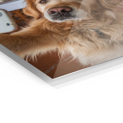Golden Retriever Selfie