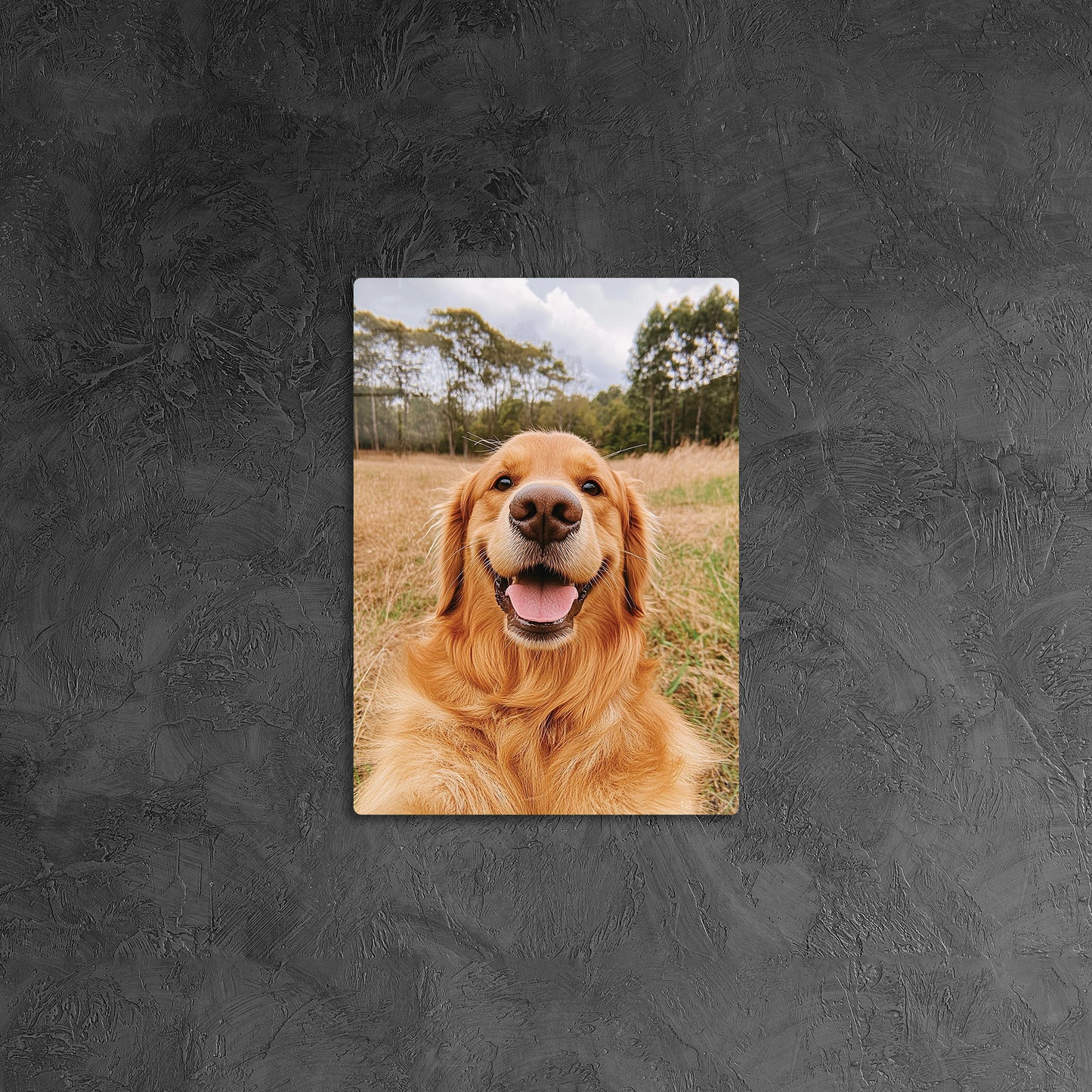 Golden Retriever Selfie 2