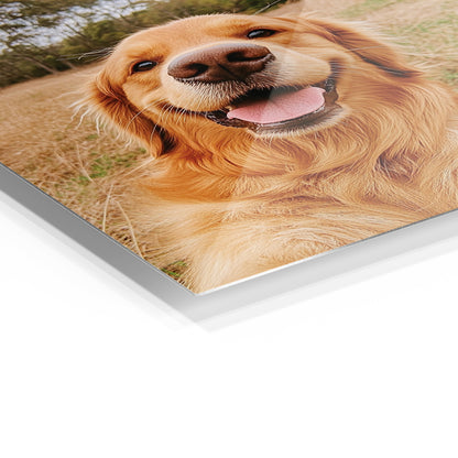 Golden Retriever Selfie 2