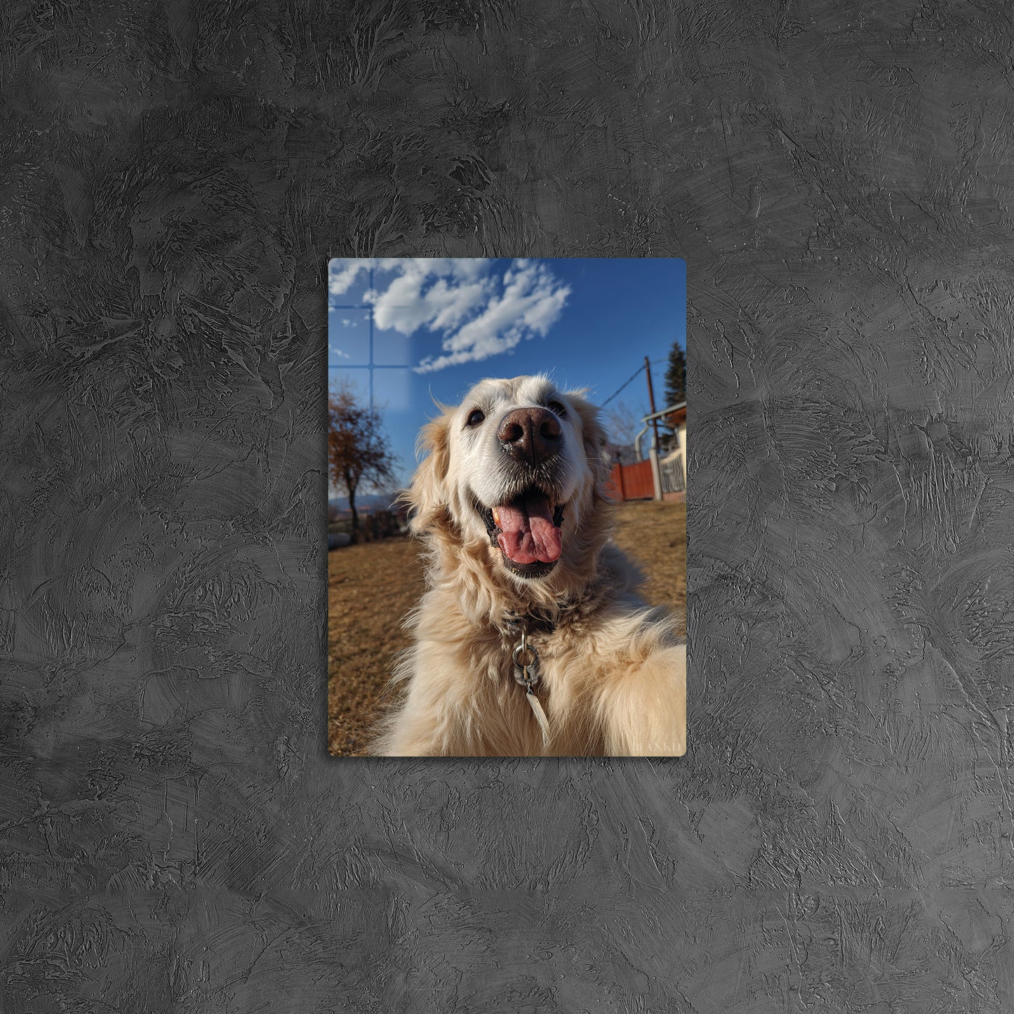 Golden Retriever Selfie 3