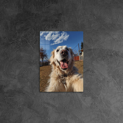 Golden Retriever Selfie 3