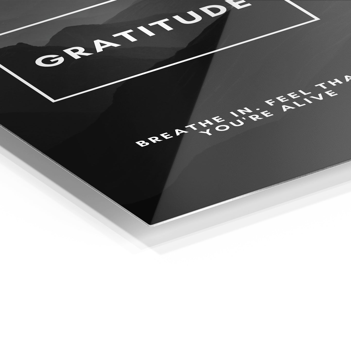 Gratitude