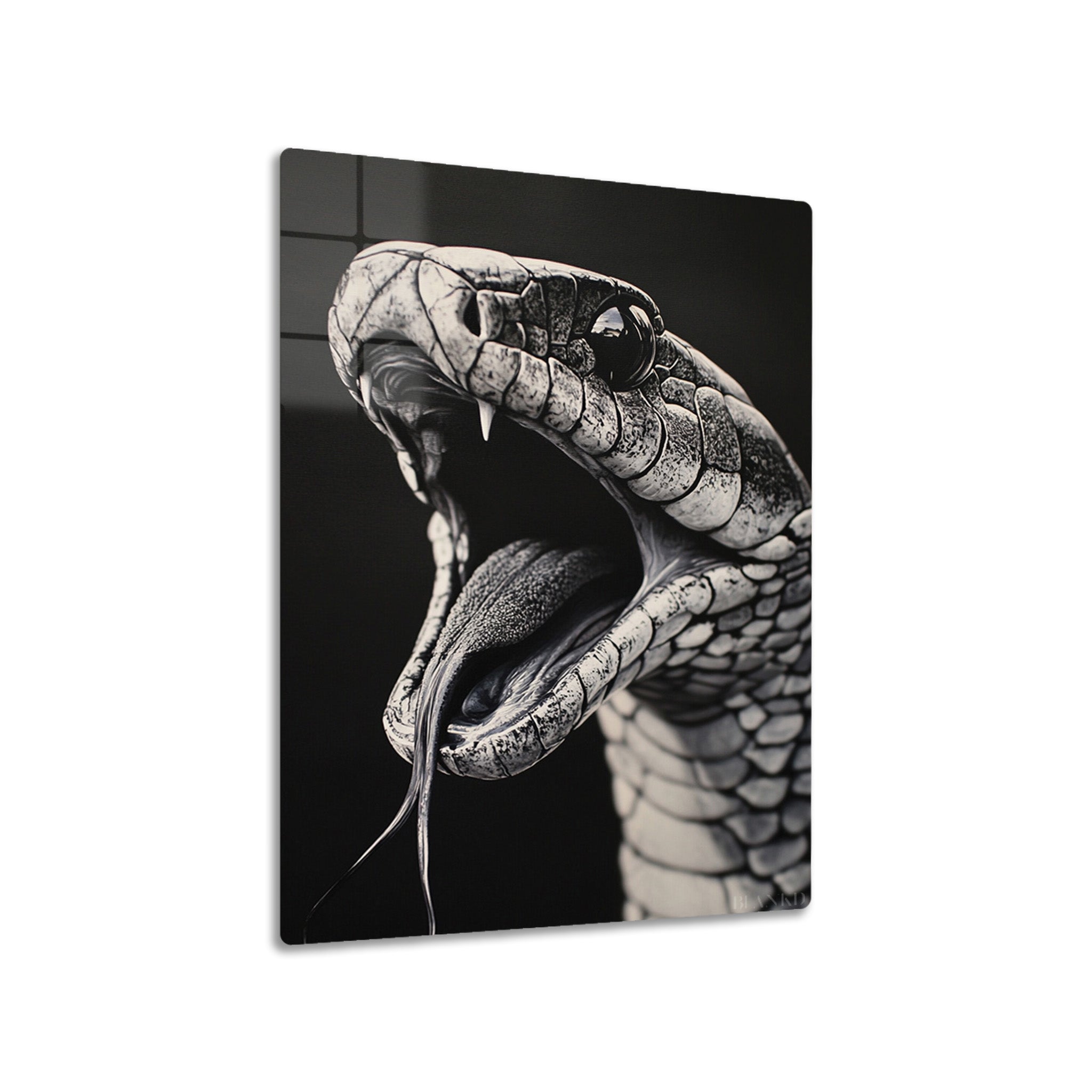 King Cobra B&W