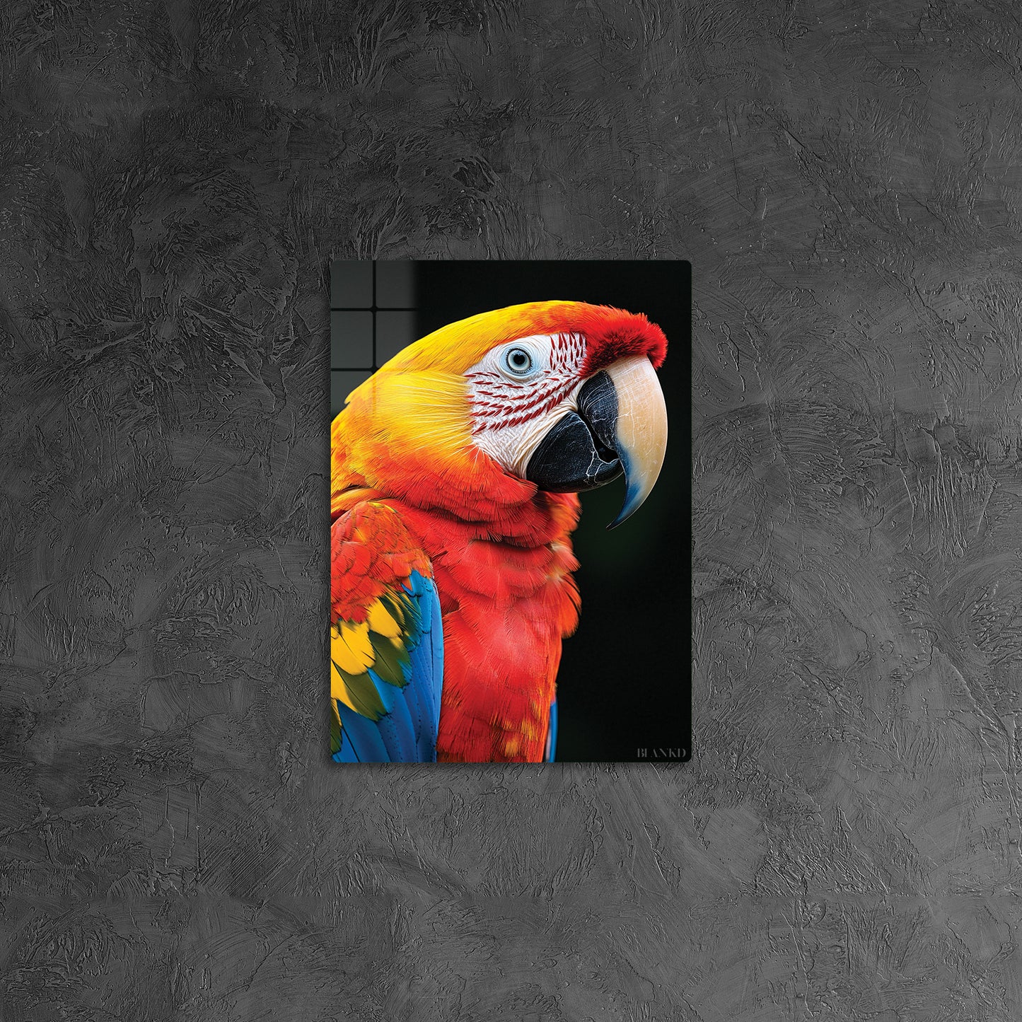 Macaw Parrot