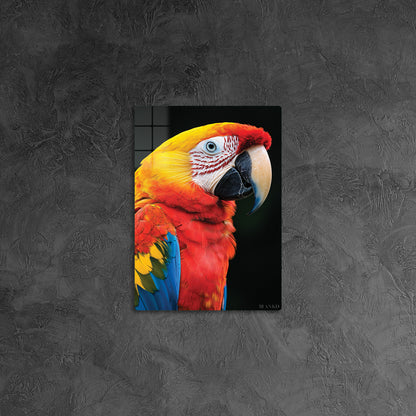 Macaw Parrot