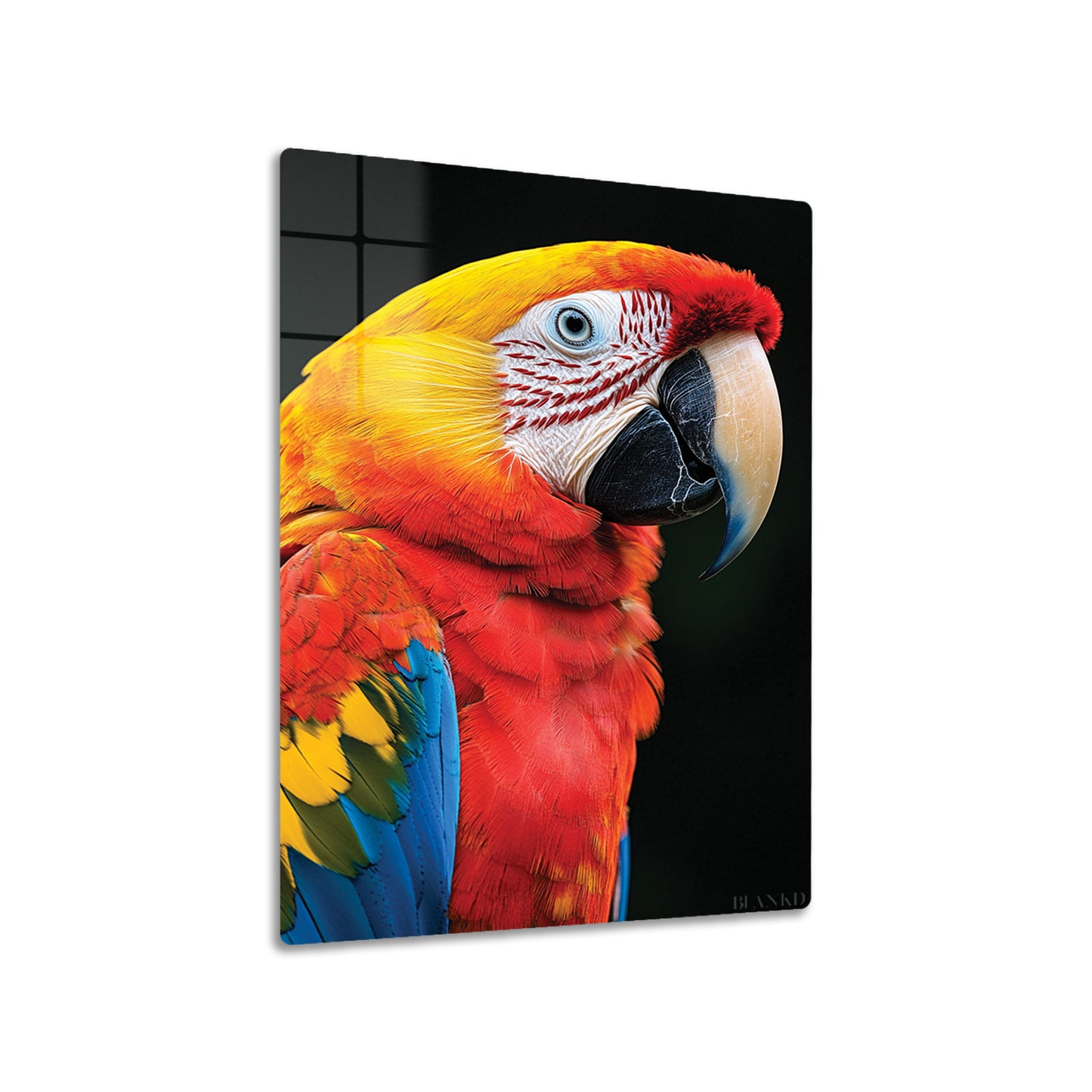 Macaw Parrot