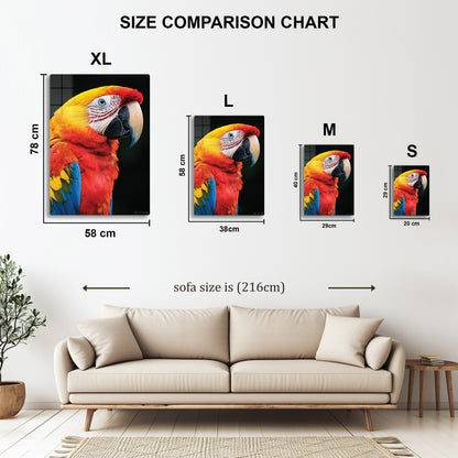 Macaw Parrot