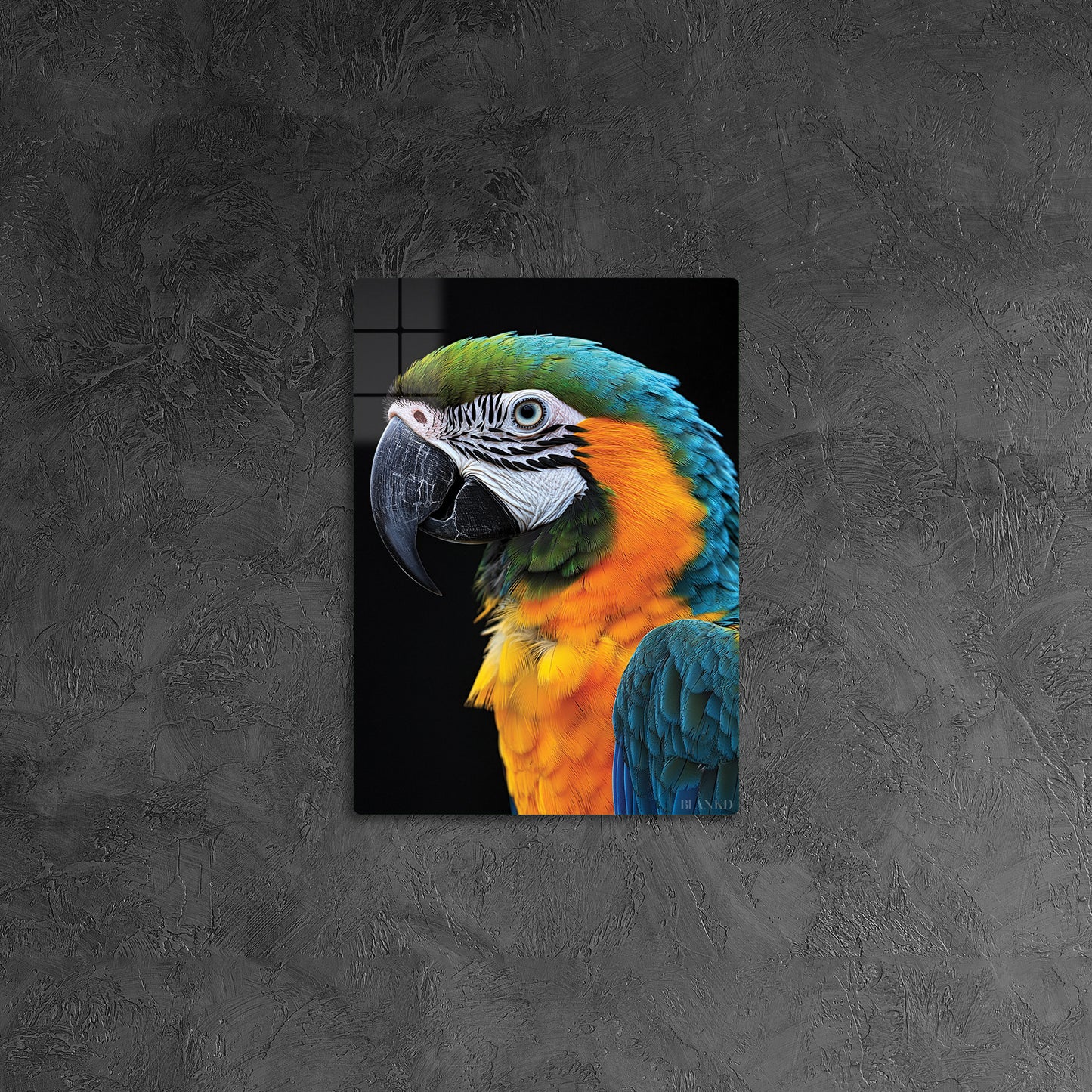 Macaw Parrot 2