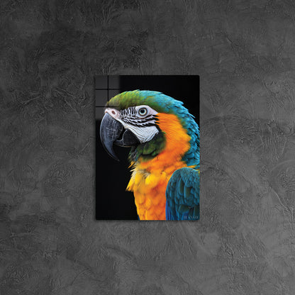 Macaw Parrot 2