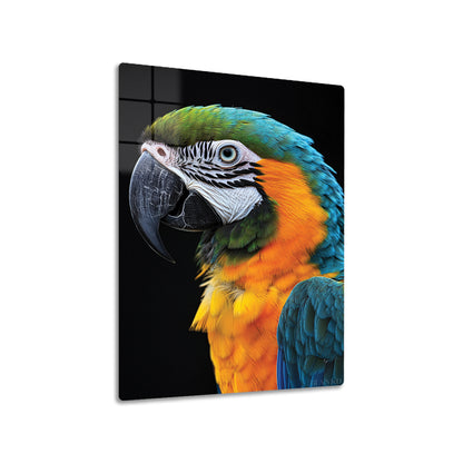 Macaw Parrot 2