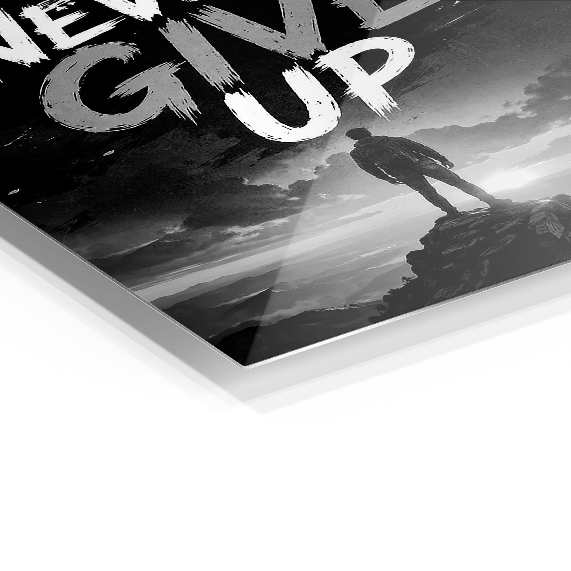 Never Give Up