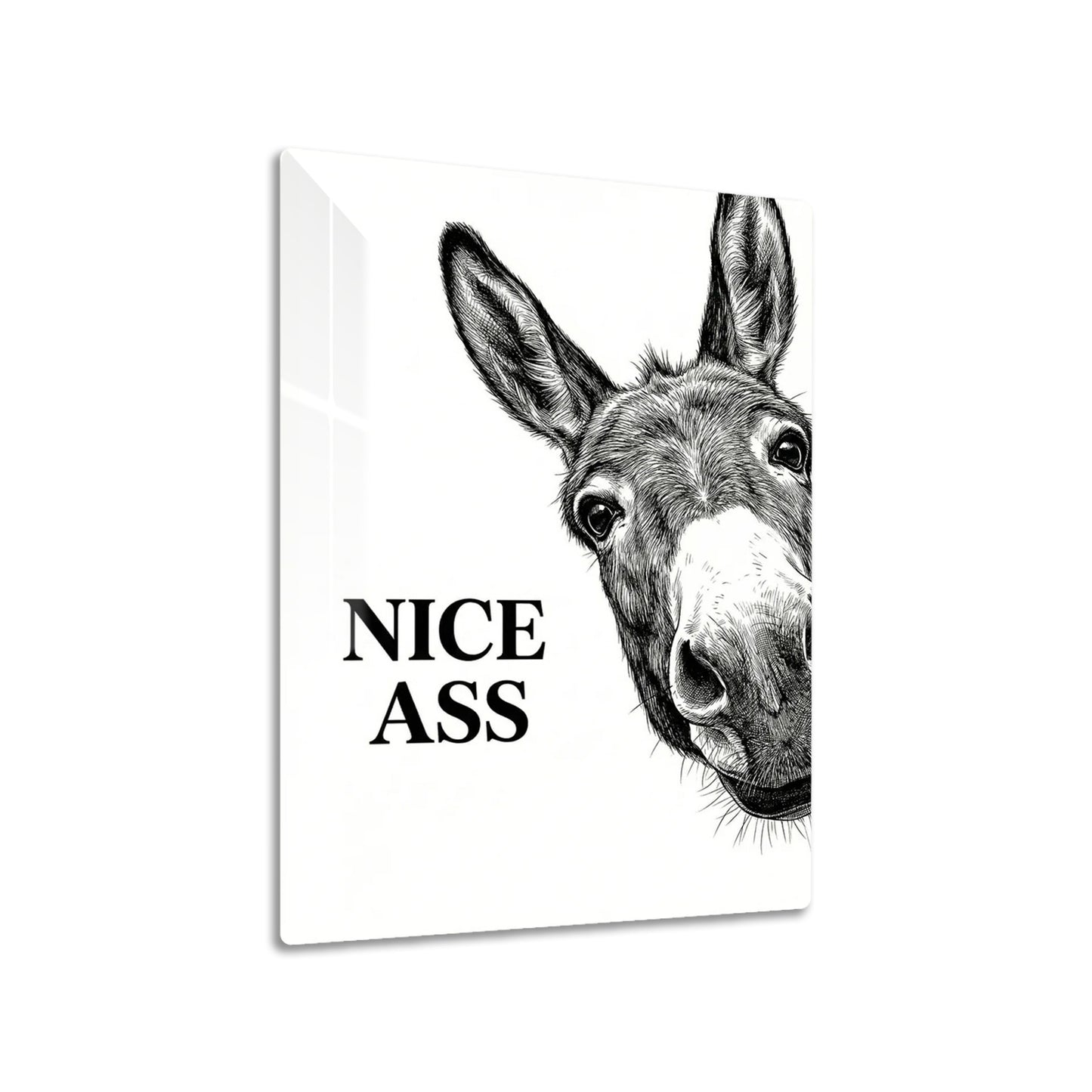 Fine Donkey metal poster on living room wall