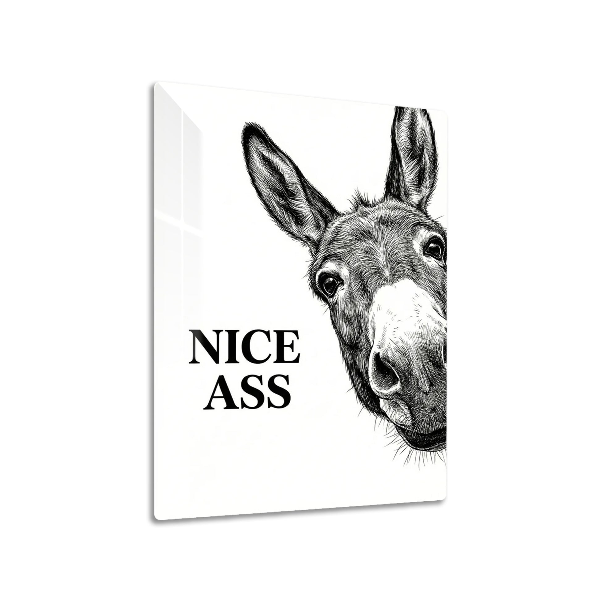 Fine Donkey metal poster on living room wall