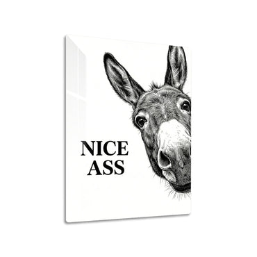Fine Donkey metal poster on living room wall