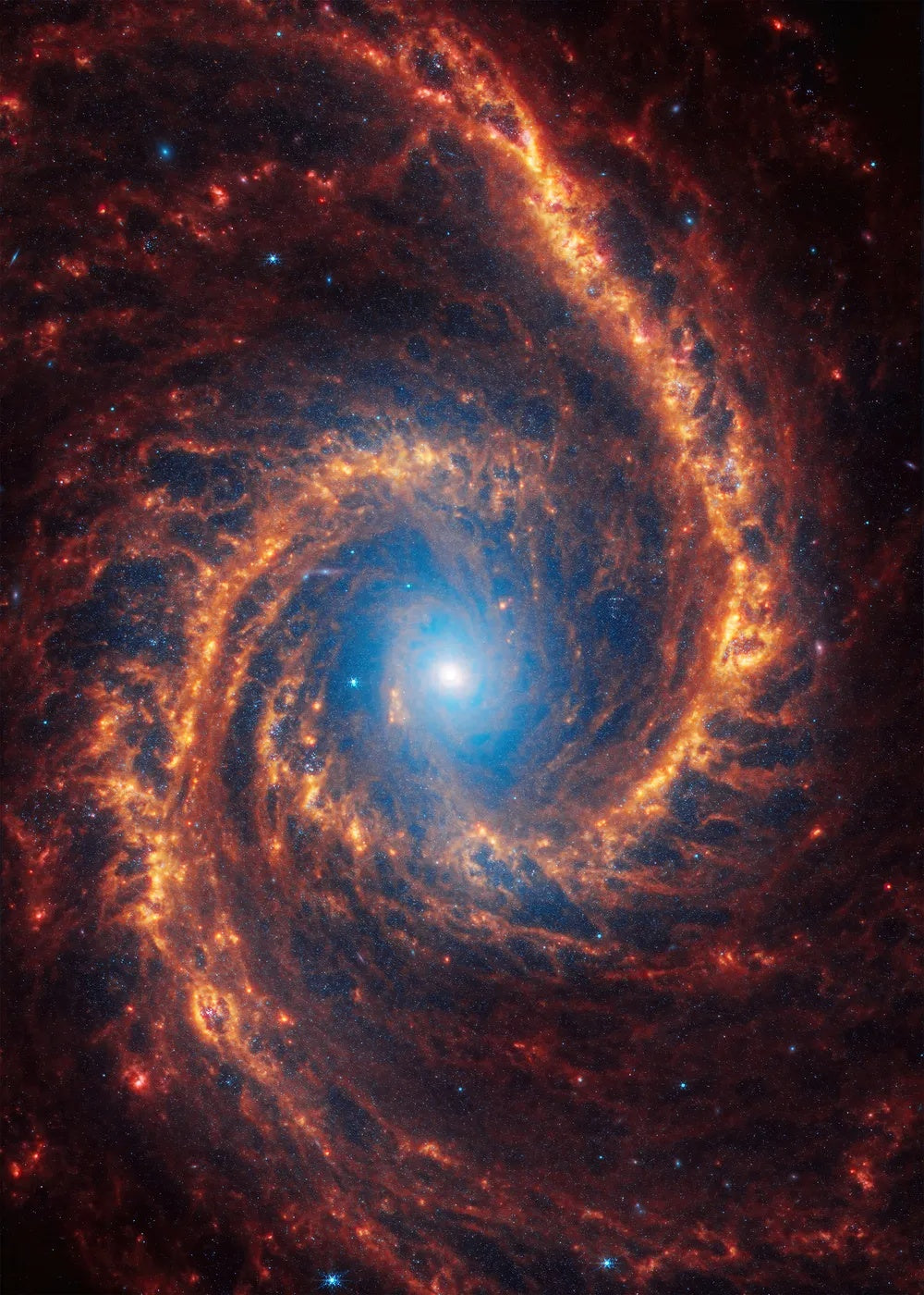 Spiral Galaxy NGC 1566 metal poster artwork