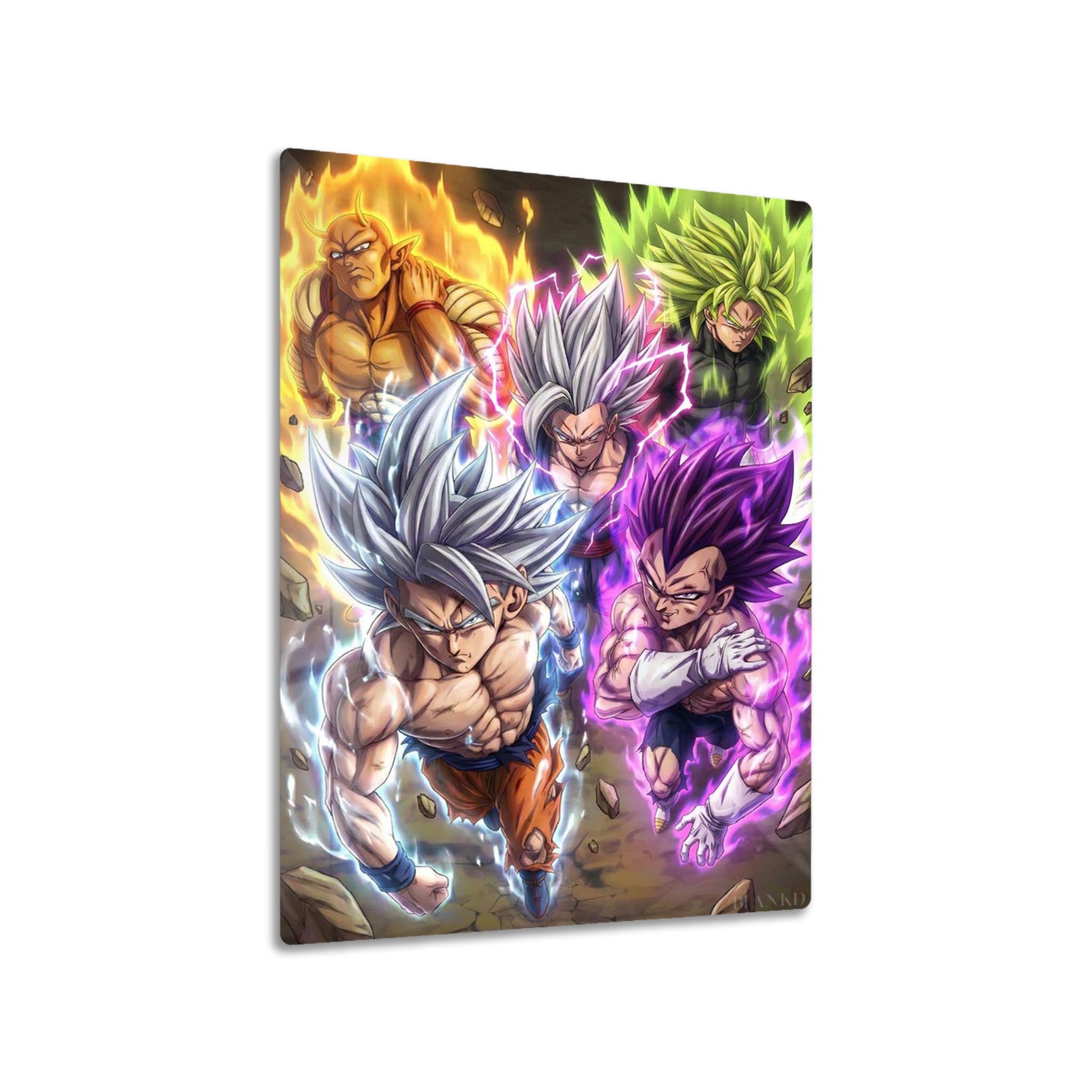 Goku and Vegeta metal poster